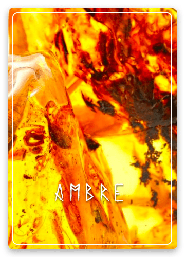 Ambre